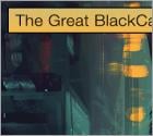 The Great BlackCat Ransomware Heist