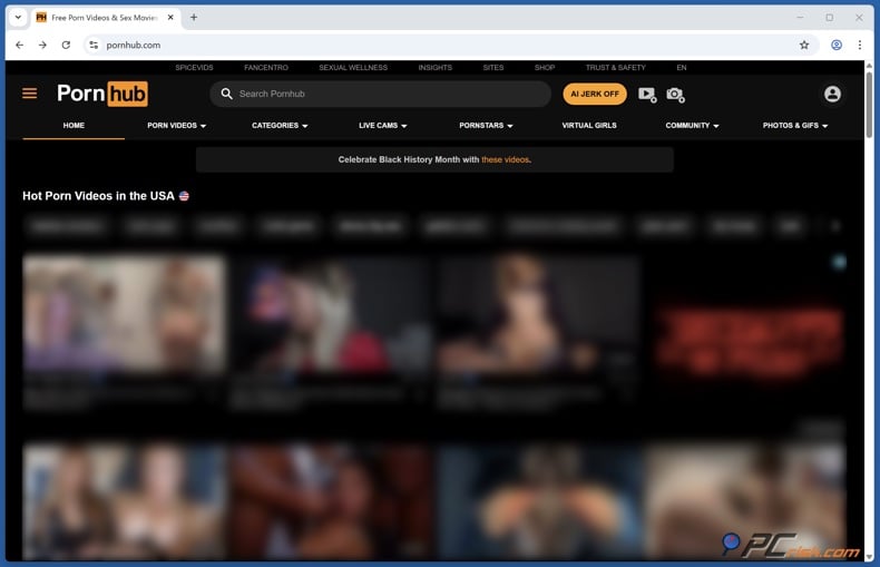 Pornhub's US homepage