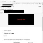 Email used to spread StrelaStealer (sample 3)