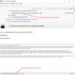 Email used to spread StrelaStealer (sample 4)