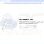 Example of a site using fake CAPTCHA test to push browser notification spam 1