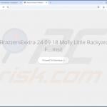 SpeedyLook browser hijacker promoter 2