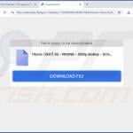 BlazeSearch browser hijacker promoter 3