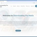 Website promoting Downloading Pro Media adware 1