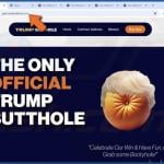 $TRUMP Airdrop Scam fake website 2