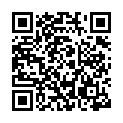 BeaverTail stealer QR code