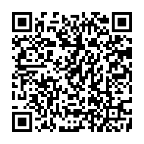 Optimus virus QR code