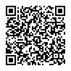 Porseek redirect QR code