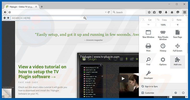 Removing Tv-Plug-In ads from Mozilla Firefox step 1