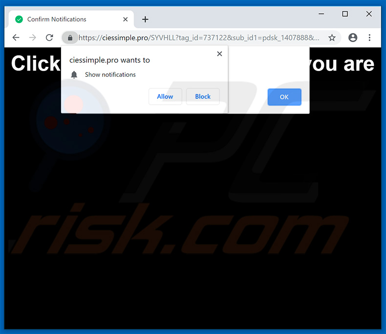 ciessimple[.]pro pop-up redirects