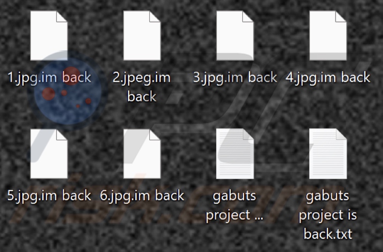 Files encrypted by GABUTS PROJECT ransomware (.im back extension)
