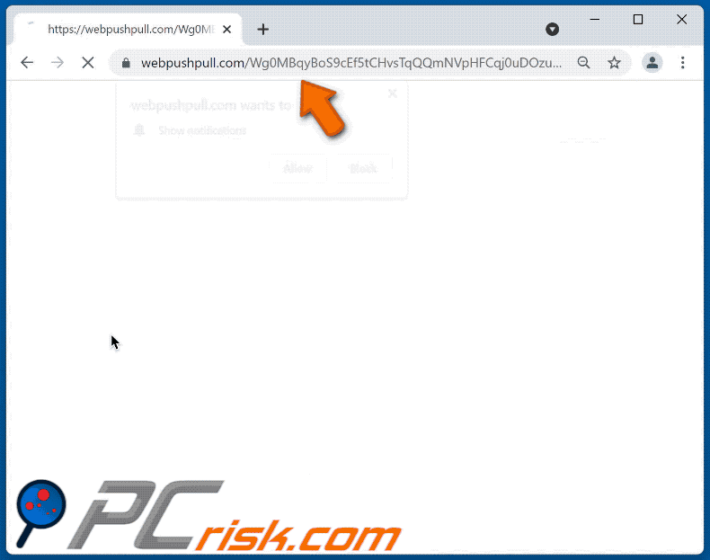 webpushpull[.]com website appearance (GIF)