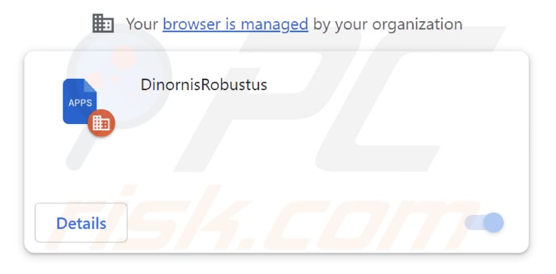 DinornisRobustus malicious extension
