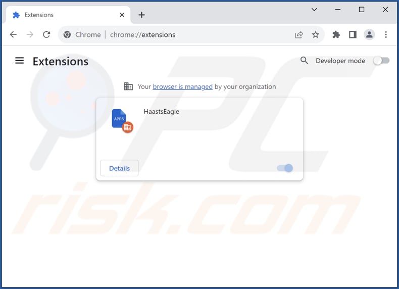 Removing HaastsEagle unwanted app from Google Chrome step 2