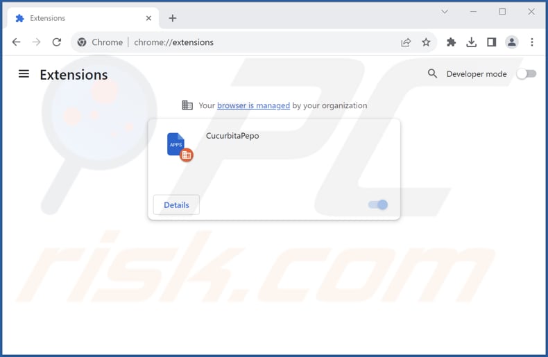 Removing CucurbitaPepo malicious extension from Google Chrome step 2