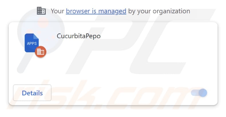 CucurbitaPepo malicious extension