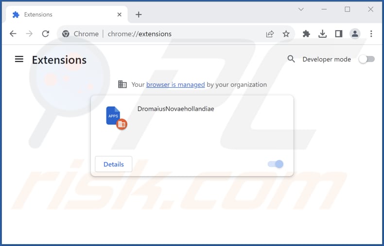 Removing DromaiusNovaehollandiae malicious extension from Google Chrome step 2