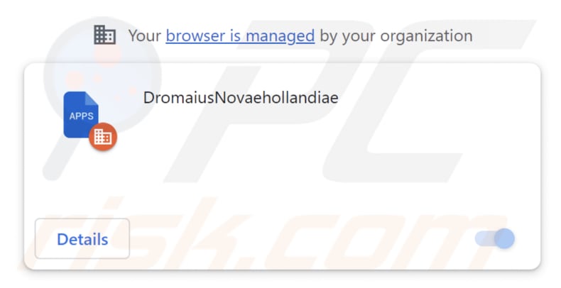 DromaiusNovaehollandiae malicious extension