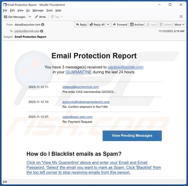 Email Protection Report email spam campaign