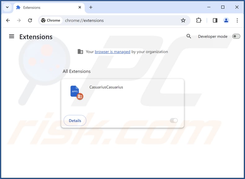 Removing CasuariusCasuarius malicious extension from Google Chrome step 2