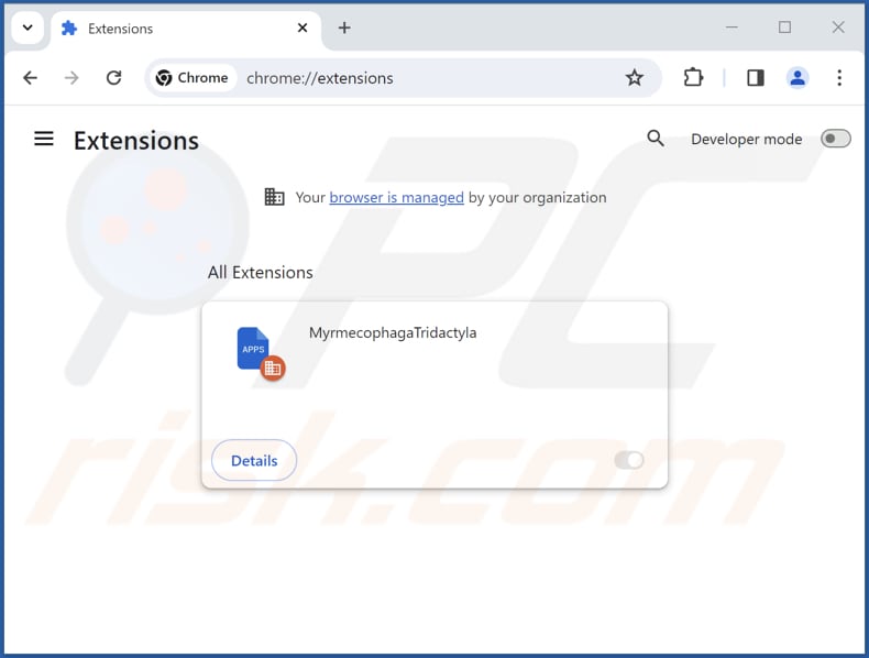 Removing MyrmecophagaTridactyla malicious extension from Google Chrome step 2