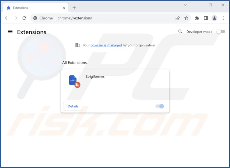 Removing Strigiformes malicious extension from Google Chrome step 2