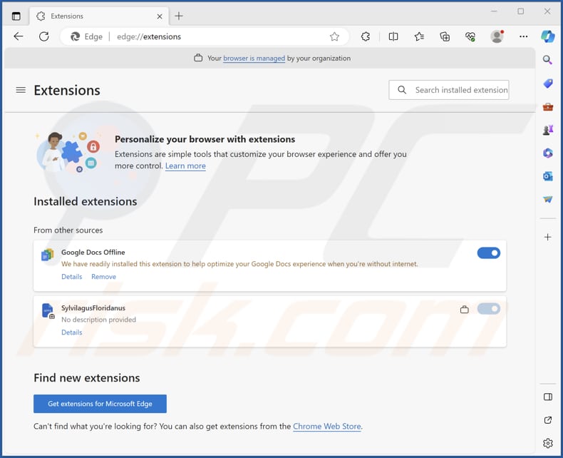 SylvilagusFloridanus malicious extension on Edge browser