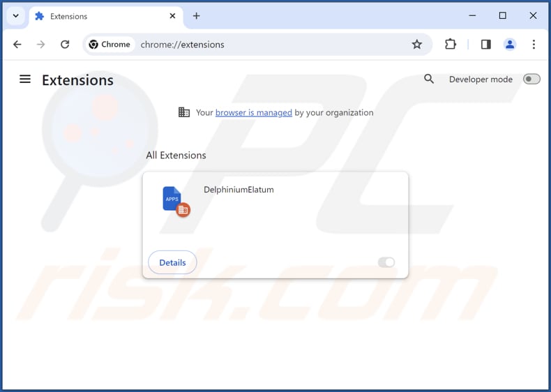 Removing DelphiniumElatum malicious extension from Google Chrome step 2