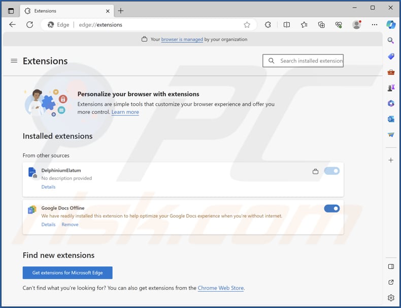 DelphiniumElatum malicious extension on Edge browser