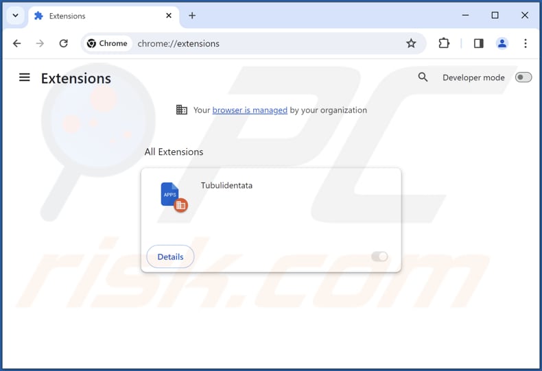 Removing Tubulidentata malicious extension from Google Chrome step 2