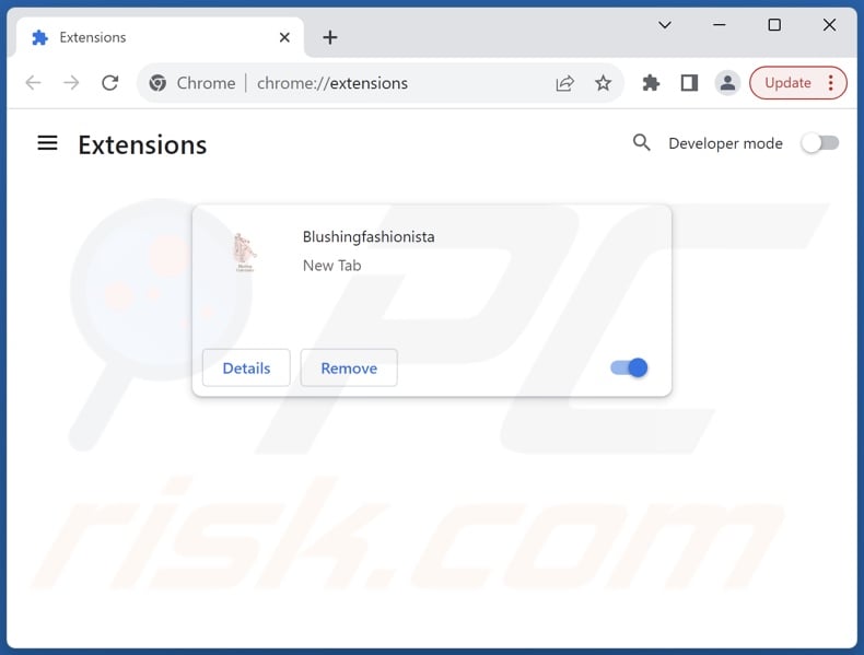 Removing blushingfashionista.com related Google Chrome extensions