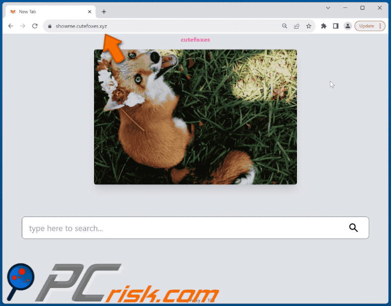 Cute Foxes browser hijacker redirecting to Bing (GIF)