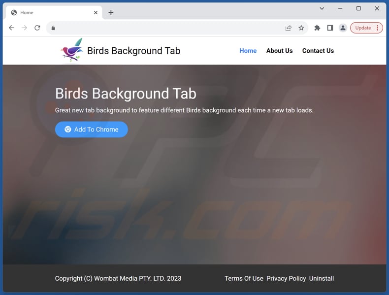 Website used to promote Birds Background browser hijacker