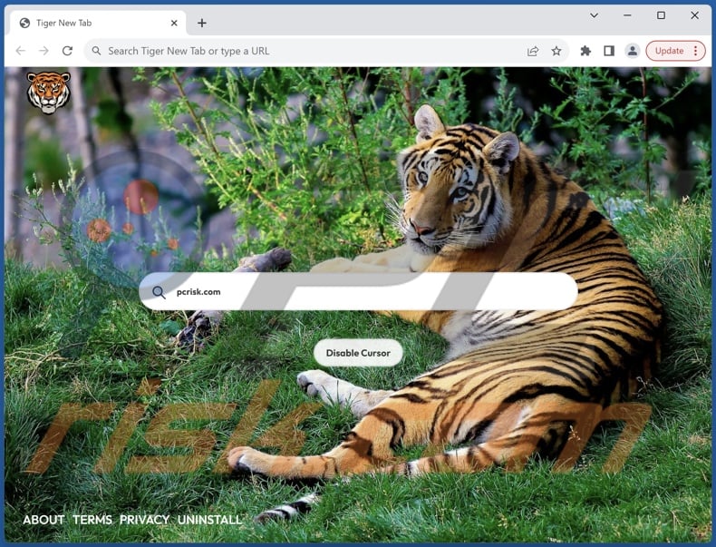 tiger-newtab.com browser hijacker