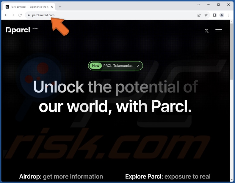 Real parcllimited.com website