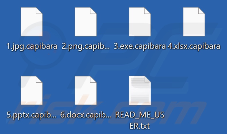 Files encrypted by Capibara ransomware (.capibara extension)
