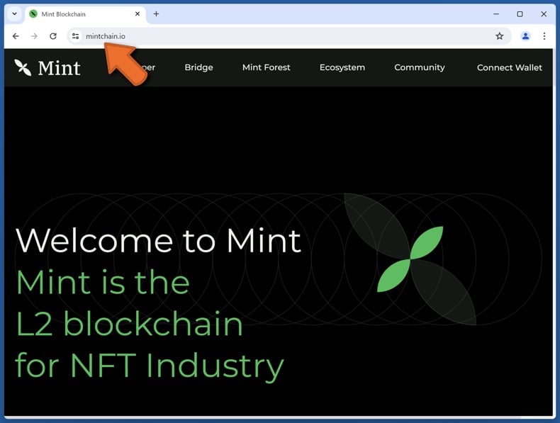 Appearance of the real Mint website (mintchain.io)