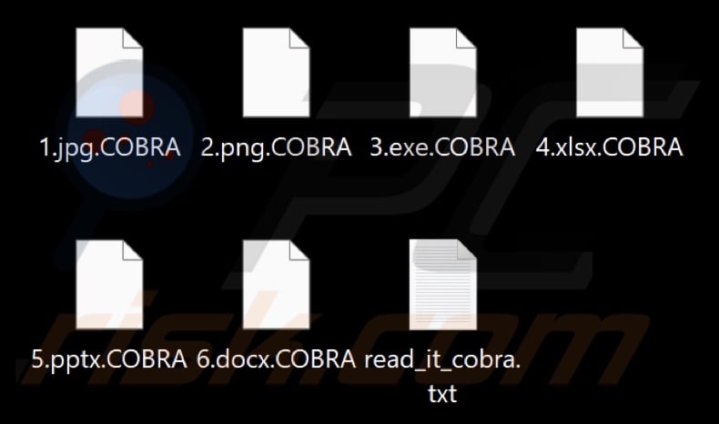 Files encrypted by COBRA ransomware (.COBRA extension)
