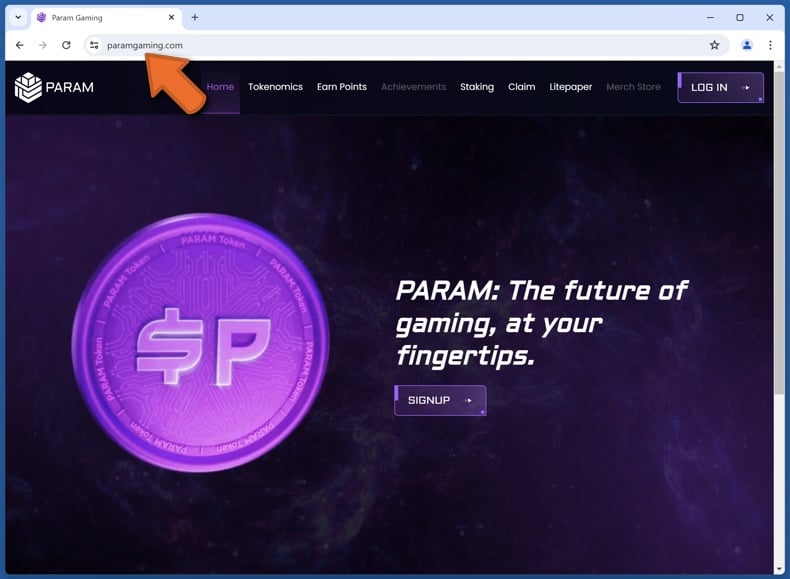 Appearance of the real Param website (paramgaming.com)