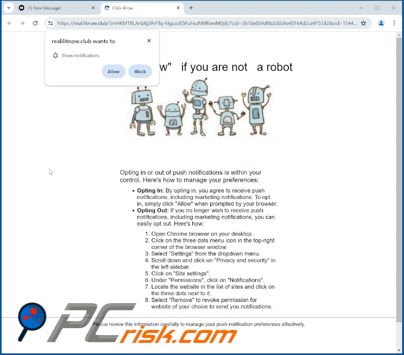 realilitnow[.]club website appearance (GIF)