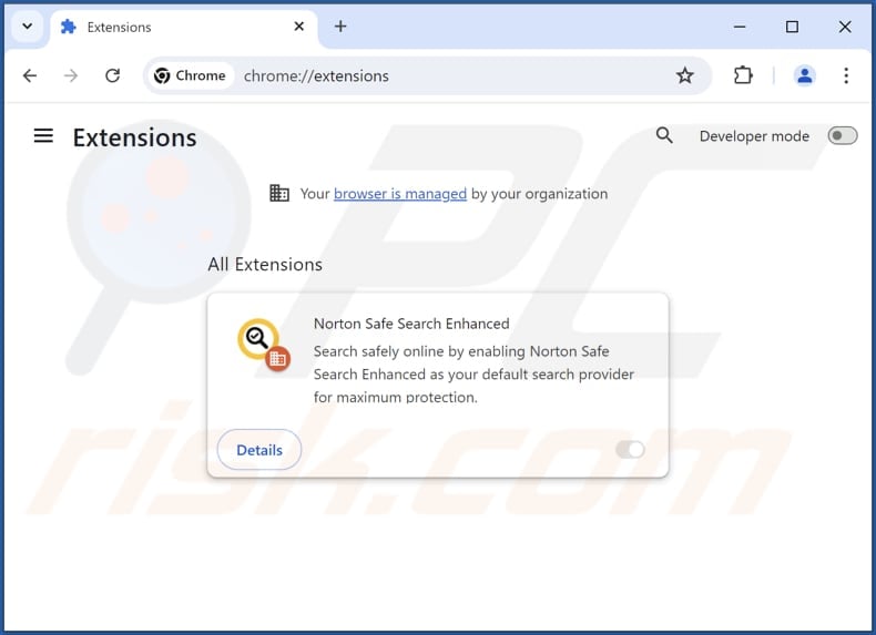 Removing Norton Safe Search Enhanced fake extension from Google Chrome step 2