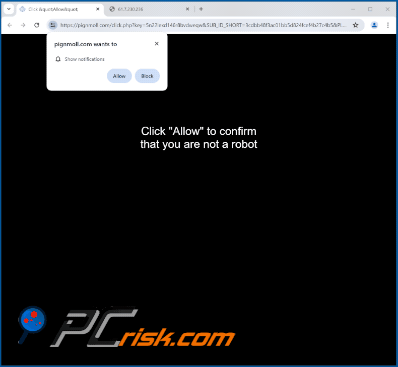 pignmoll[.]com website appearance (GIF)