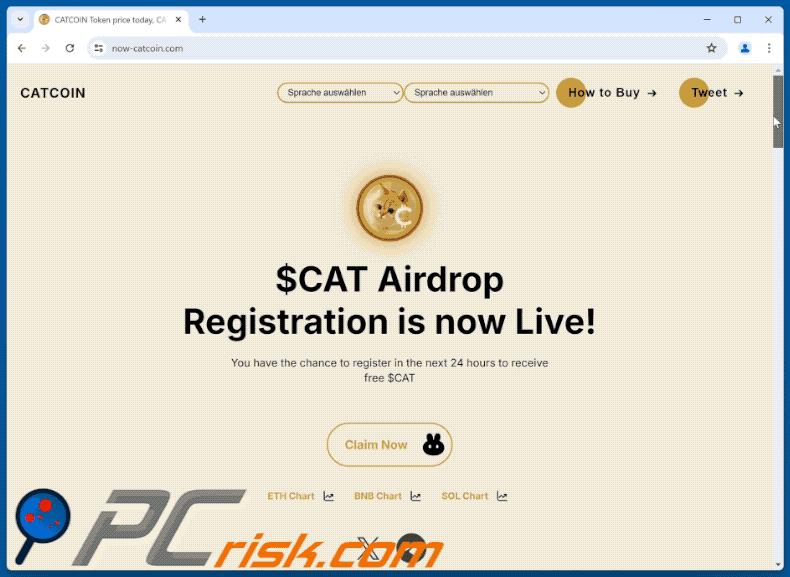 Appearance of $CAT Airdrop scam