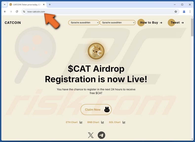 $CAT Airdrop scam