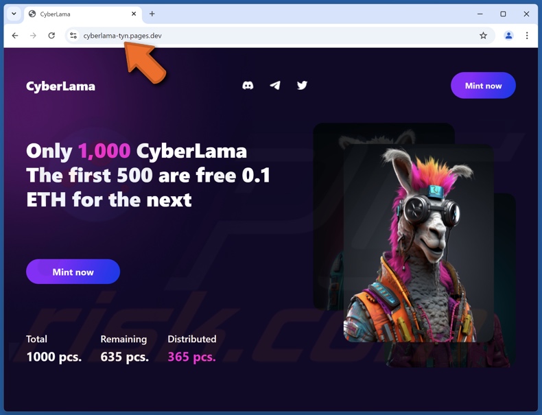 CyberLama Mint scam