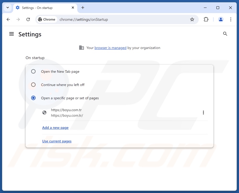 Removing boyu.com.tr from Google Chrome homepage