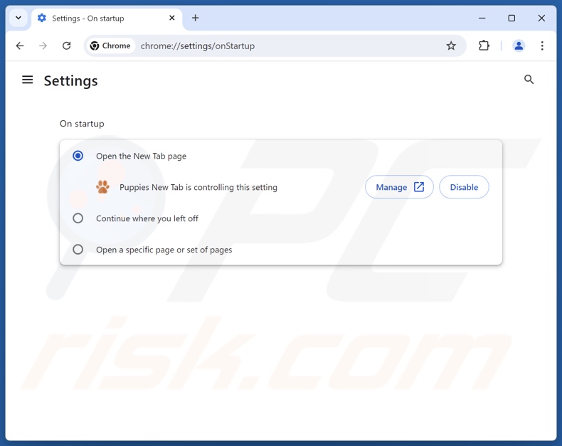 Removing puppiesnewtab.com from Google Chrome homepage