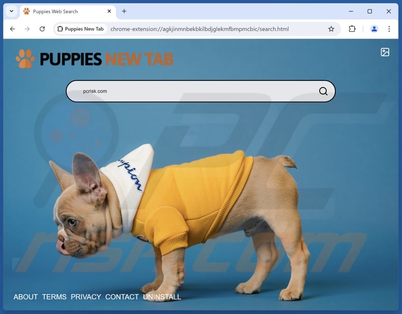 puppiesnewtab.com browser hijacker