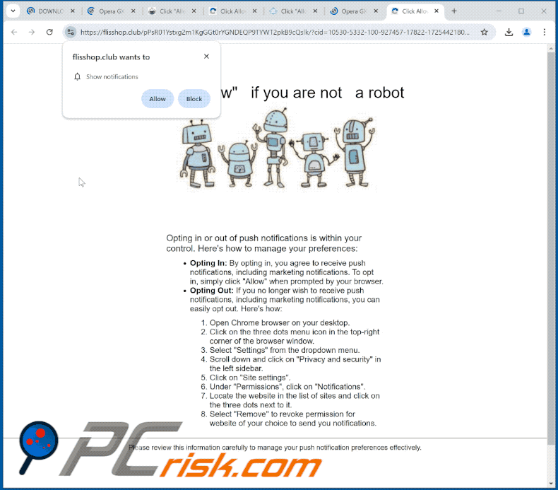 flisshop[.]club website appearance (GIF)