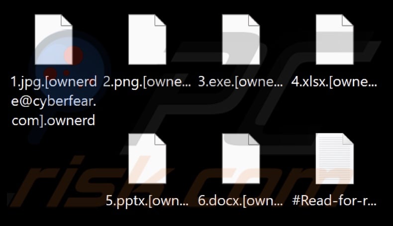 Files encrypted by Ownerd ransomware (.ownerd extension)